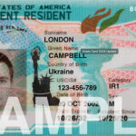 Greencard (Yeşil Kart) Rehberi: Amerika’ya Kalıcı Oturum Hakkı Kazanmanın Yolu!